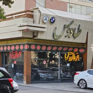 اتو طاووس