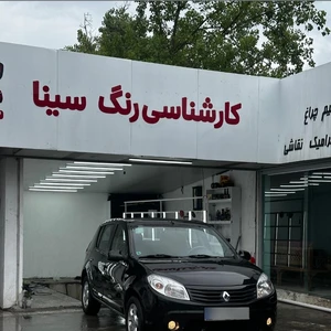 کارشناسی رنگ سینا