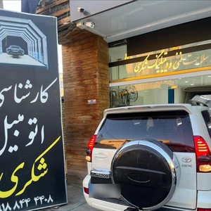 کارشناسی و تشخیص رنگ خودرو شکری